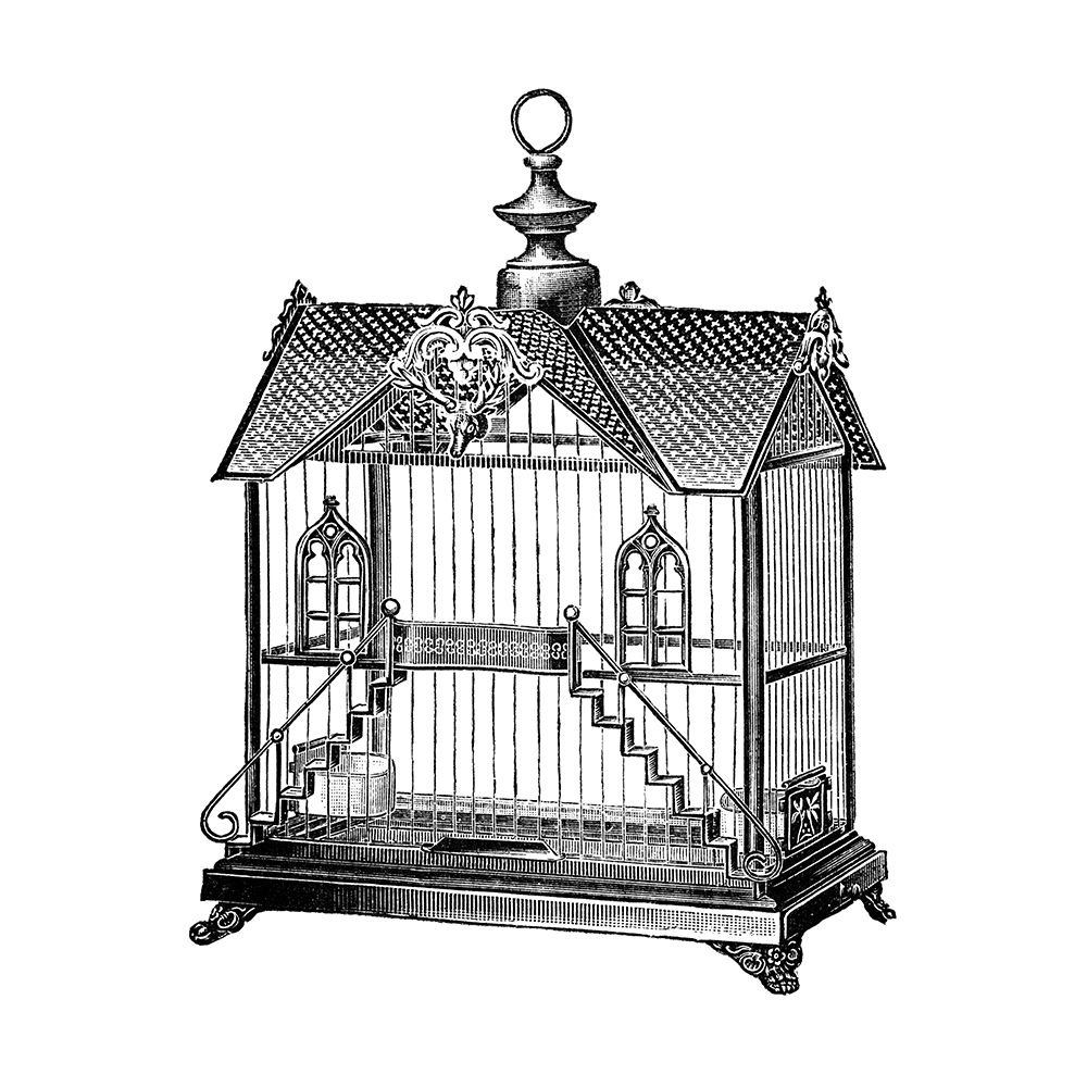 Etchings: Birdcage - Victorian house with steps. art print by Catalog Illustration for $57.95 CAD