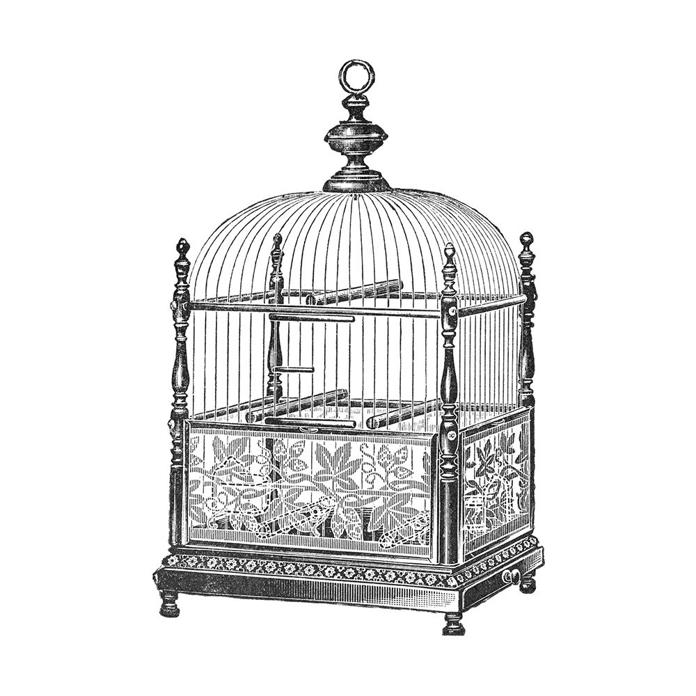 Etchings: Birdcage - Dome top, spindle corners, vine detail base. art print by Catalog Illustration for $57.95 CAD