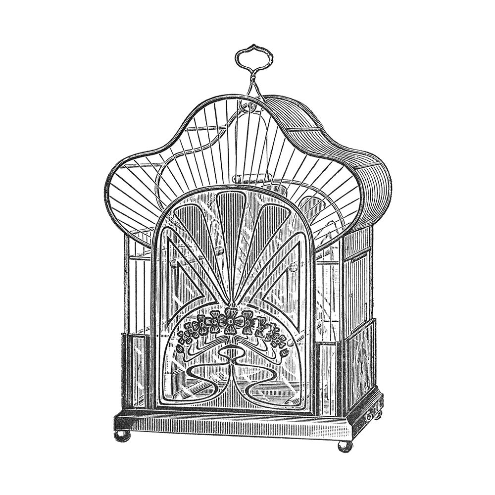 Etchings: Birdcage - Palmate top, forget-me-not detail. art print by Catalog Illustration for $57.95 CAD