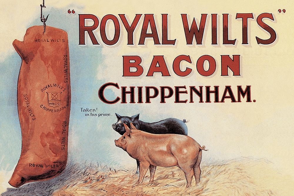 Pigs and Pork: Royal Wilts Bacon art print by Advertisement for $57.95 CAD