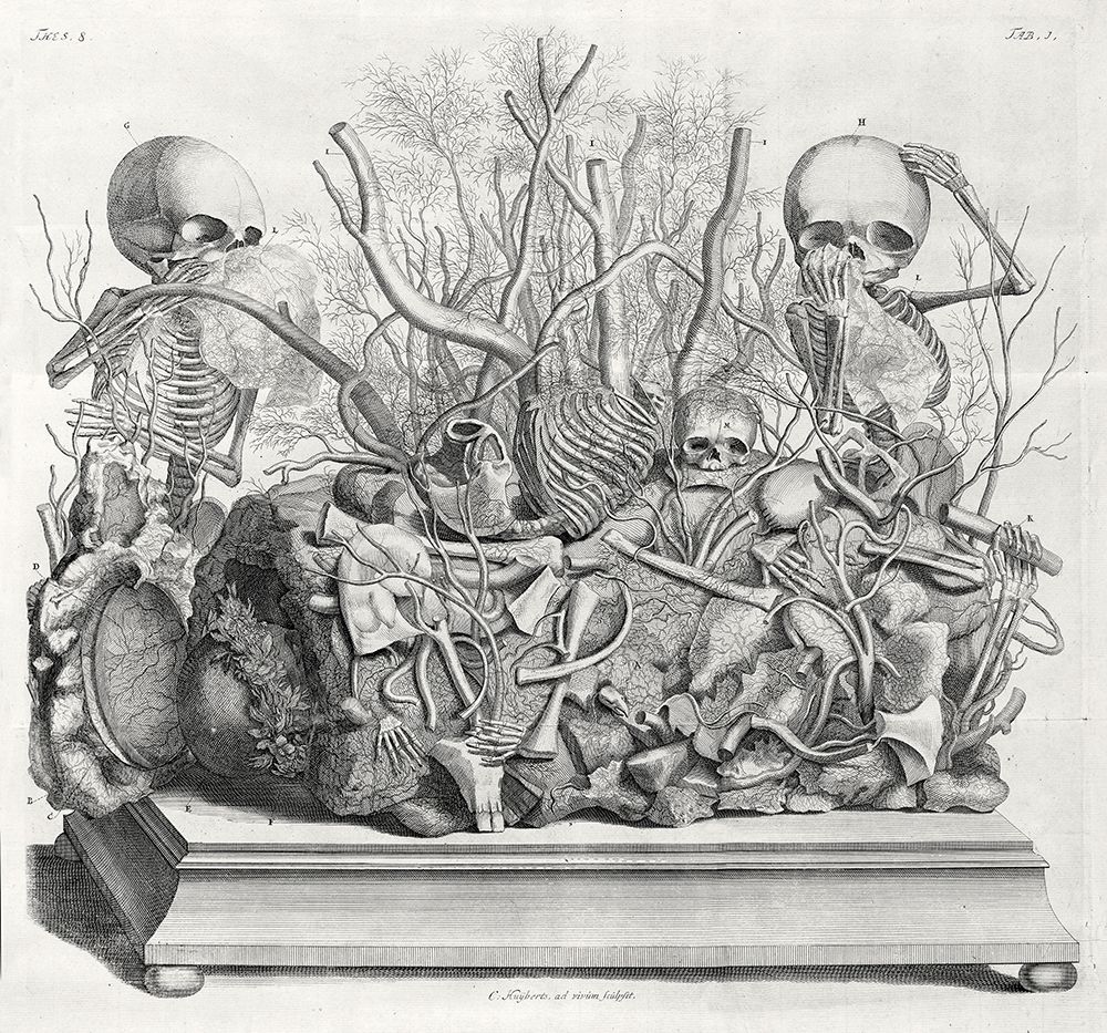 Diorama of fetal skeletons arranged with various internal organs art print by Cornelis Huyberts for $57.95 CAD