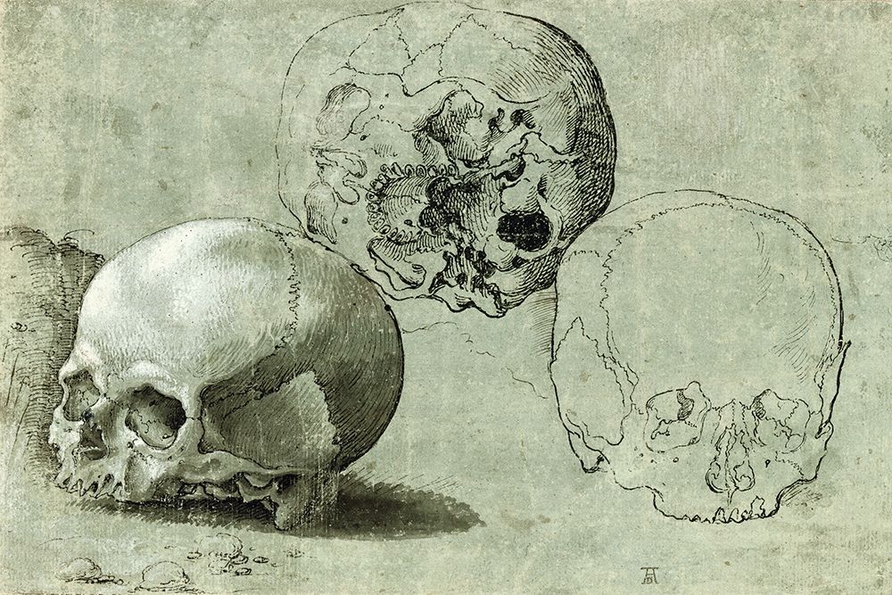 Study of Three Skulls art print by Unknown Southern German for $57.95 CAD