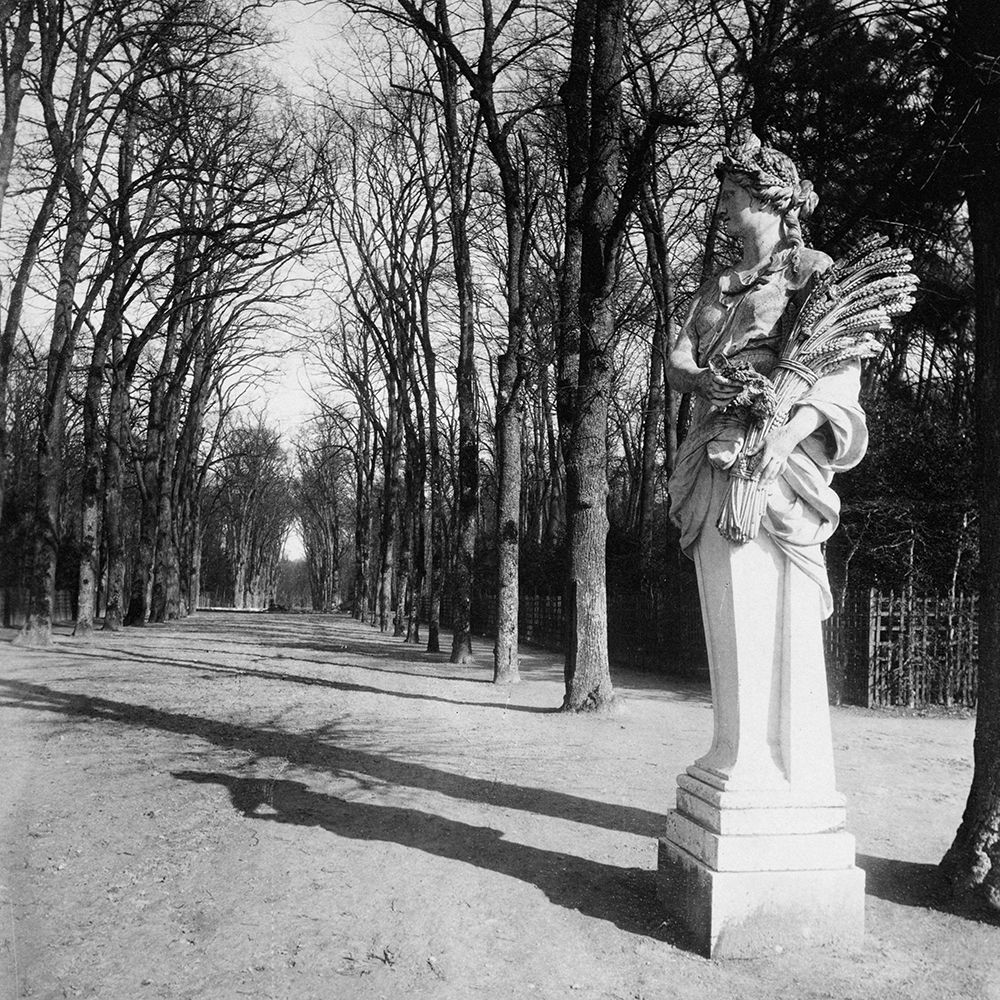 France, 1920 - The Park, Versailles art print by Eugene Atget for $57.95 CAD