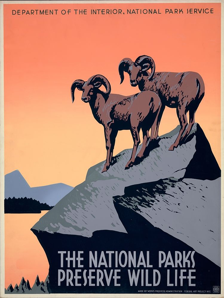 The National Parks Preserve Wild Life, ca. 1936-1939 art print by J. Hirt for $57.95 CAD