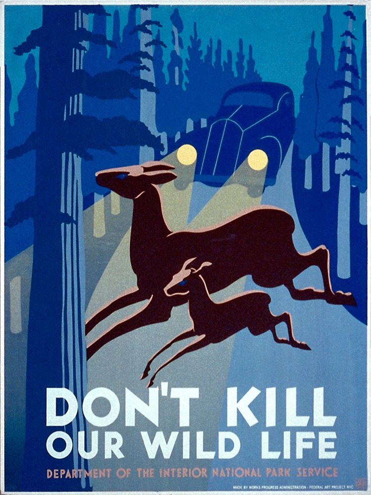 Dont kill our wild life art print by WPA for $57.95 CAD