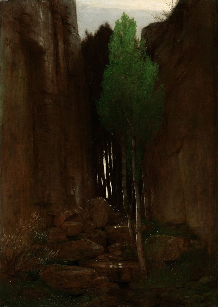 Quell in einer Felsschlucht (Spring in a Narrow Gorge) art print by Arnold Boulin for $57.95 CAD
