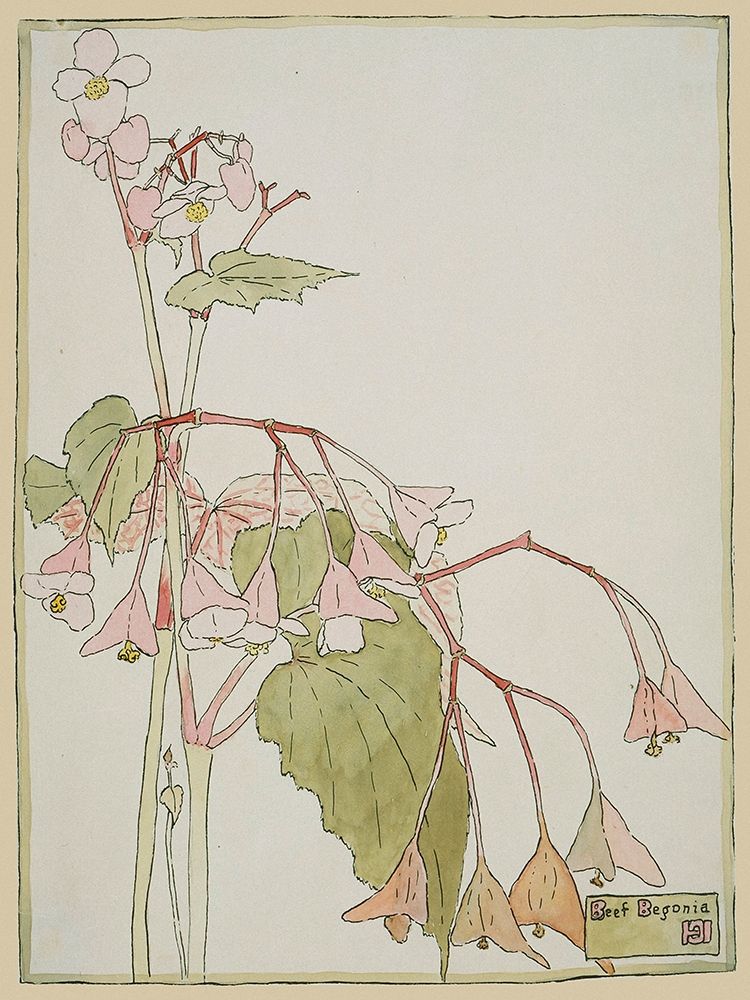 Beef Begonia art print by Hannah Borger Overbeck for $57.95 CAD