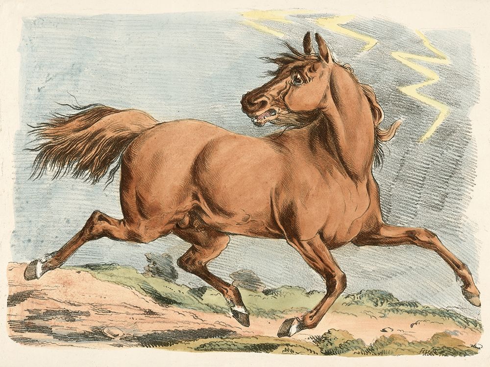 Brown Horse Running, 1817 art print by Henry Thomas Alken for $57.95 CAD
