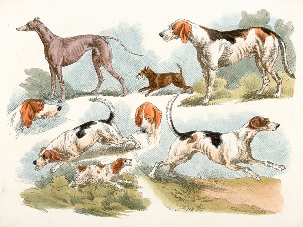 Hunting Dogs, 1817 art print by Henry Thomas Alken for $57.95 CAD