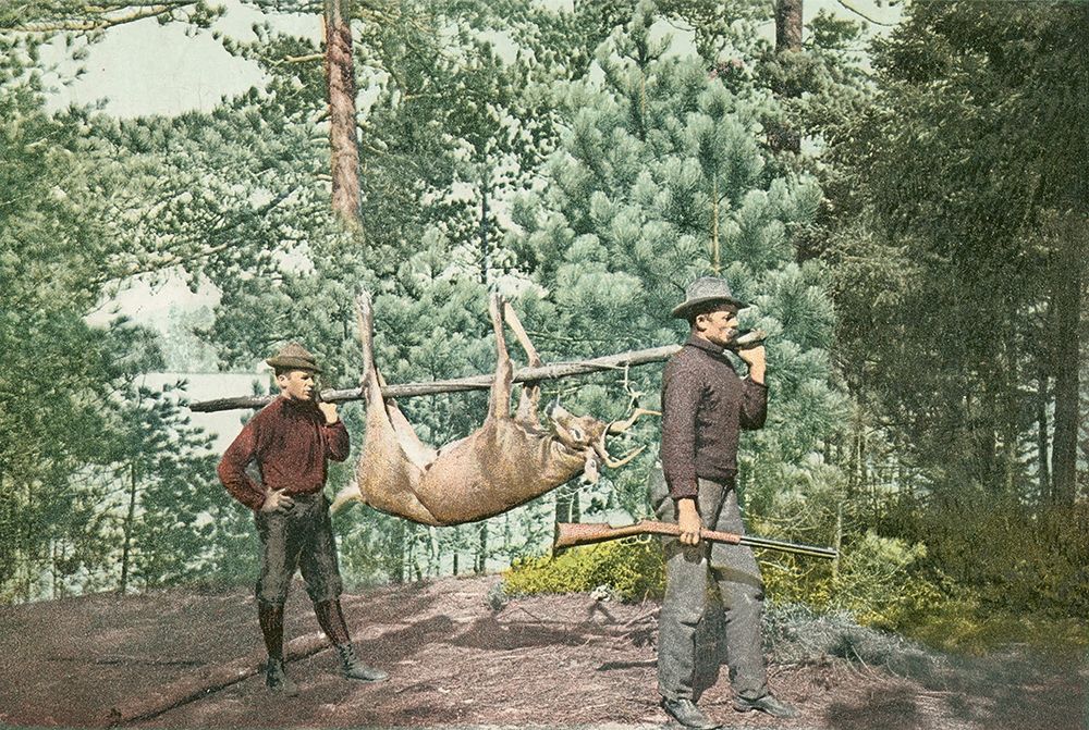 Hunting, Adirondacks, N.Y., 1898 art print by Detroit Publishing Co. for $57.95 CAD