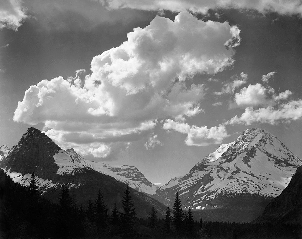 Trees in Glacier National Park, Montana - National Parks and Monuments, 1941 art print by Ansel Adams for $57.95 CAD