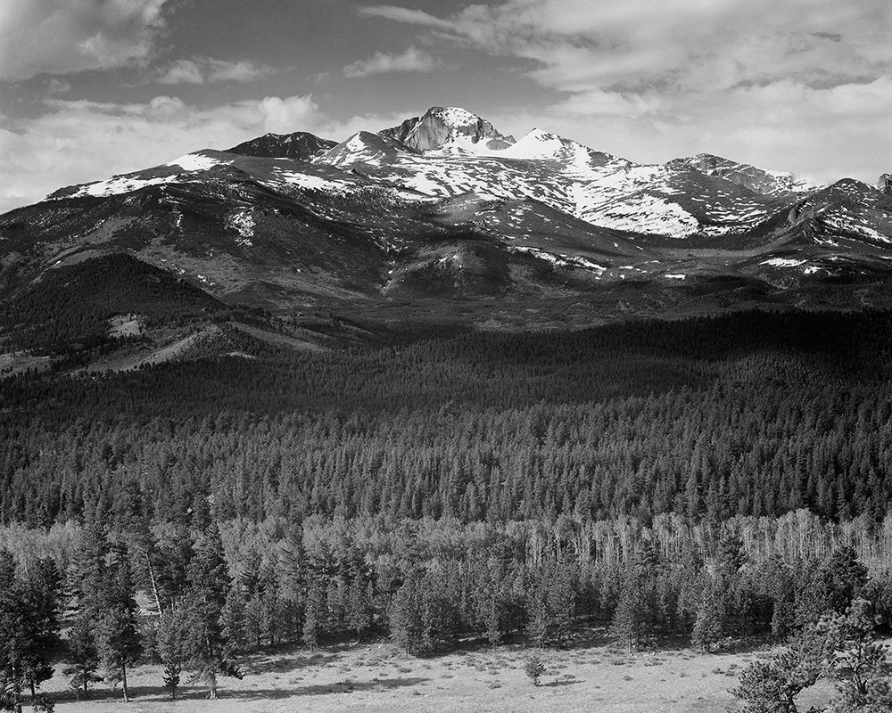 Trees in foreground, snow covered mountain in background, in Rocky Mountain National Park, Colorado, art print by Ansel Adams for $57.95 CAD