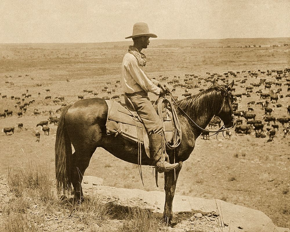 A Texas cowboy, 1907 - Sepia art print by Erwin E. Smith for $57.95 CAD