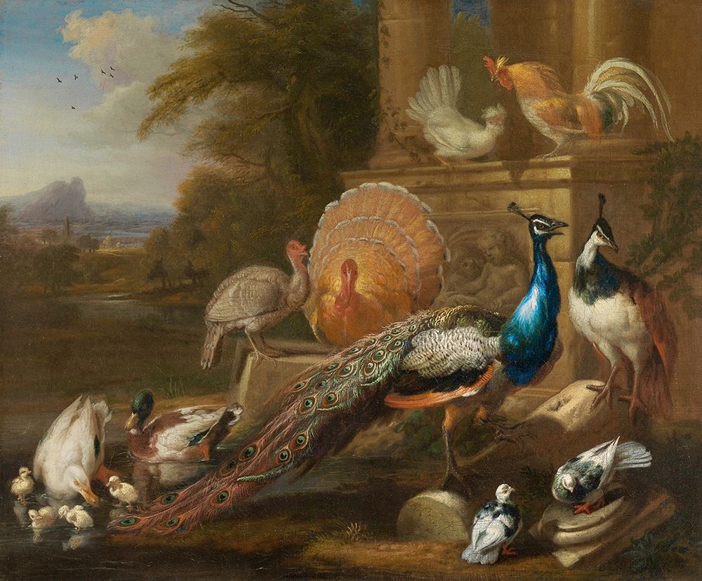 Peacocks, Doves, Turkeys, Chickens and Ducks by a Classical Ruin art print by Marmaduke Cradock for $57.95 CAD
