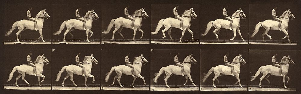 Motion Study: Man Riding A Horse art print by Eadweard J. Muybridge for $57.95 CAD