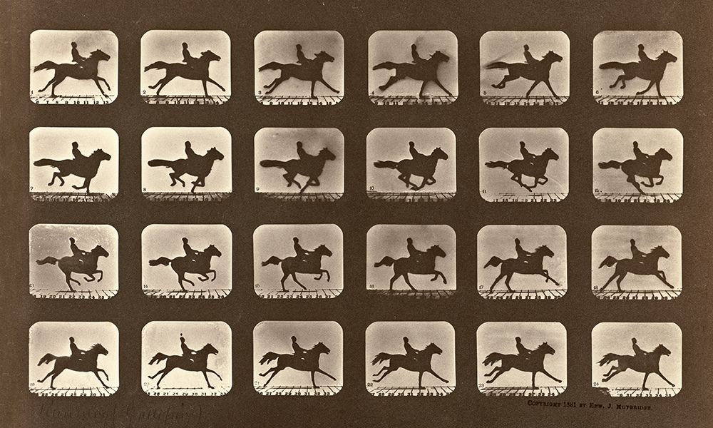 Motion Study: Man Riding A Galloping Horse art print by Eadweard J. Muybridge for $57.95 CAD