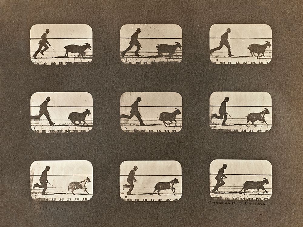 Motion Study: Man Chasing A Goat art print by Eadweard J. Muybridge for $57.95 CAD