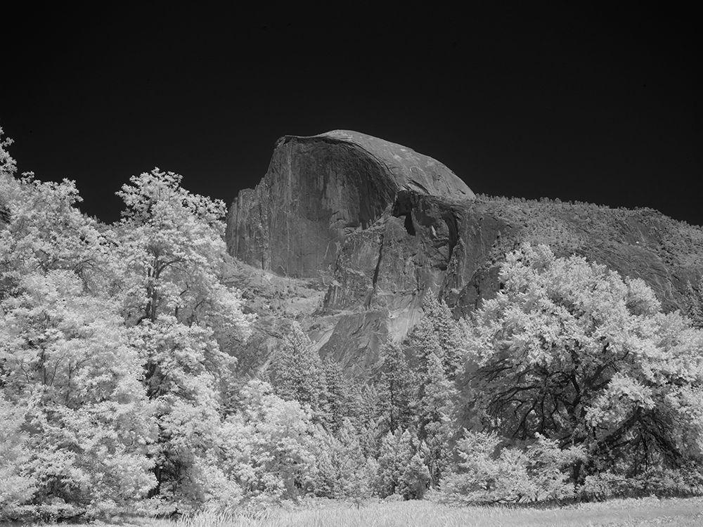 Half Dome in Yosemite National Park California art print by Carol Highsmith for $57.95 CAD