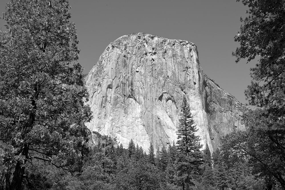 El Capitan in Yosemite National Park California art print by Carol Highsmith for $57.95 CAD