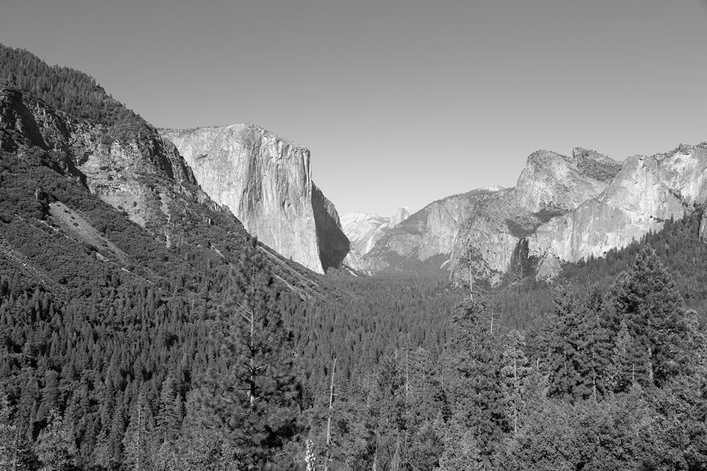 Yosemite National Park California art print by Carol Highsmith for $57.95 CAD