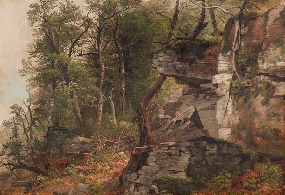 Trees on a Rocky Hillside art print by Asher Brown Durand for $57.95 CAD