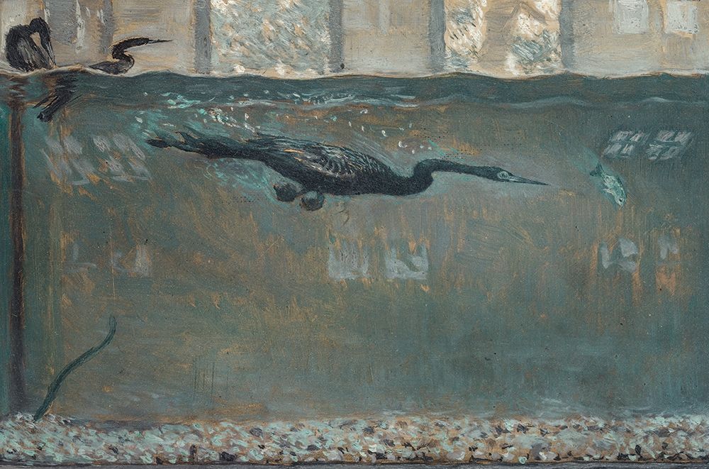 Diving Cormorant art print by Otto H Bacher for $57.95 CAD