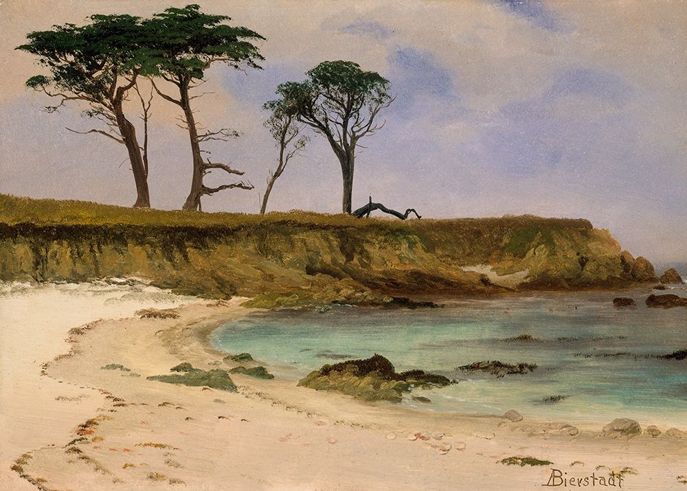 Sea Cove art print by Albert Bierstadt for $57.95 CAD
