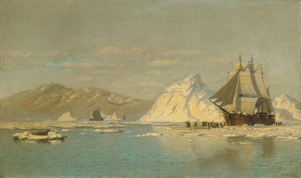 Off Greenlandâ€”Whaler Seeking Open Water art print by WilliamÂ  Bradford for $57.95 CAD