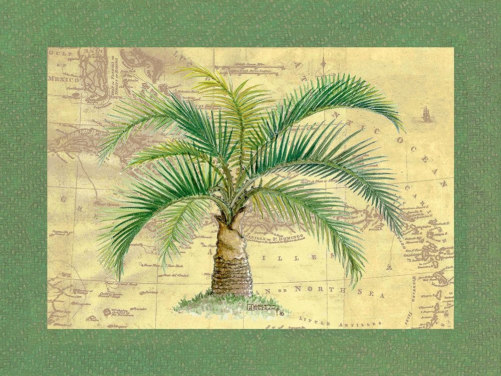 Palm Tree IV art print by Janet Kruskamp for $57.95 CAD