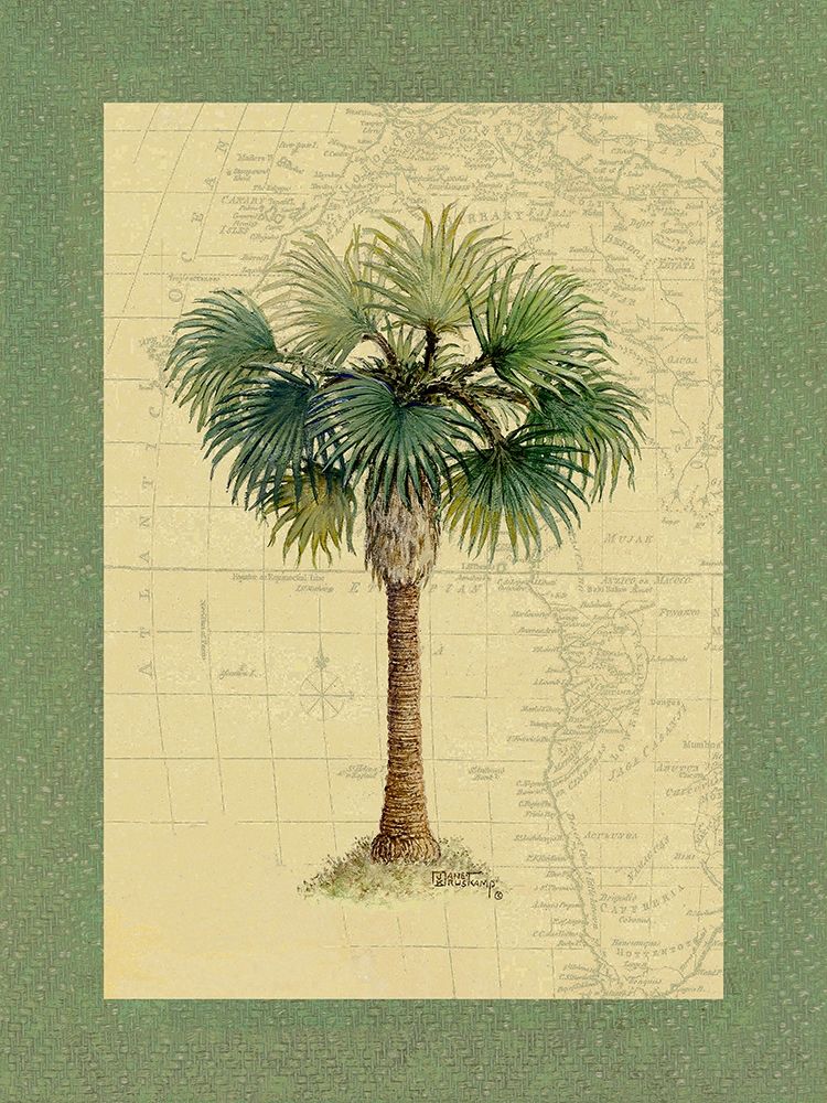 Palm Tree V art print by Janet Kruskamp for $57.95 CAD