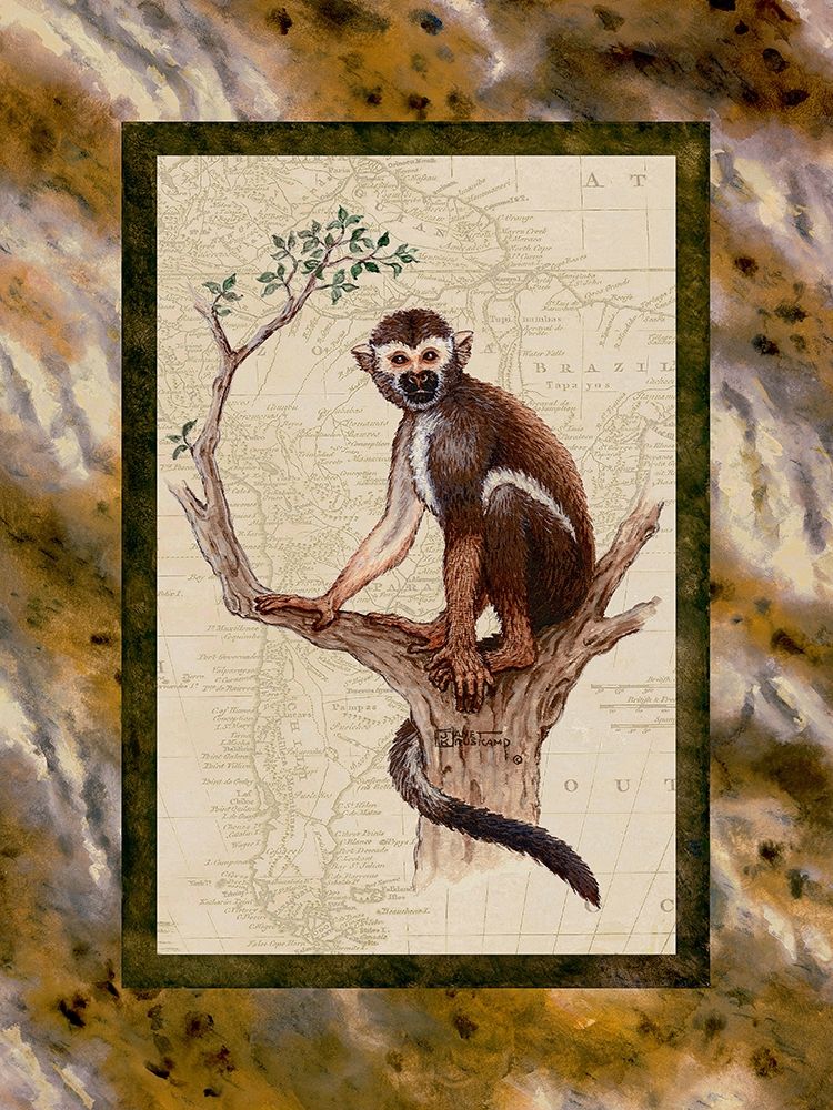 Squirrel Monkey art print by Janet Kruskamp for $57.95 CAD