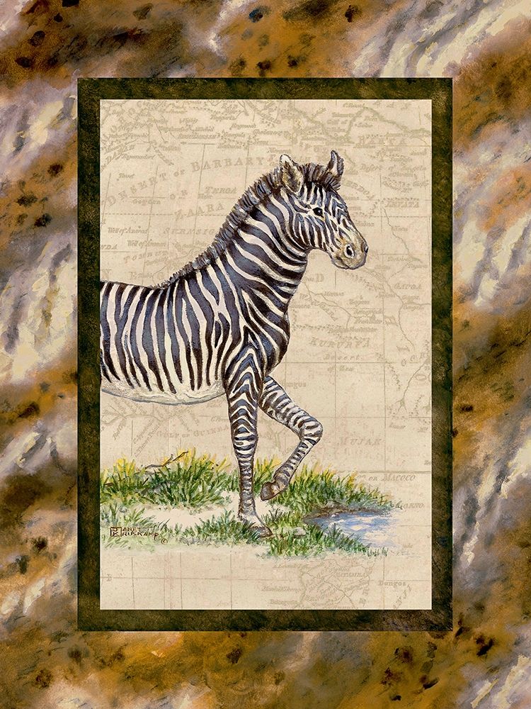 Zebra art print by Janet Kruskamp for $57.95 CAD