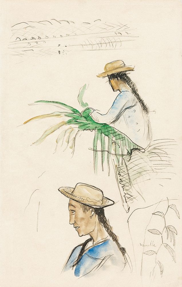 Sketches of Figures, Pandanus Leaf, and Vanilla Plant art print by Paul Gauguin for $57.95 CAD