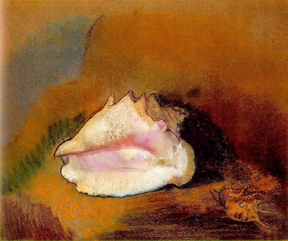 Coquille, 1912 art print by Odilon Redon for $57.95 CAD