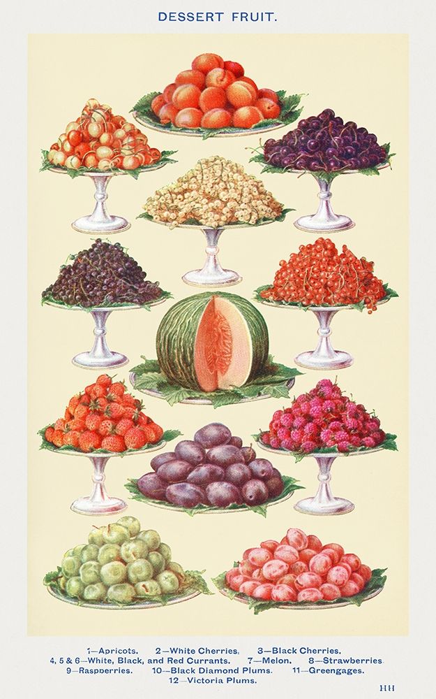 Dessert Fruit art print by Mrs. Beetons Book of Household Management for $57.95 CAD
