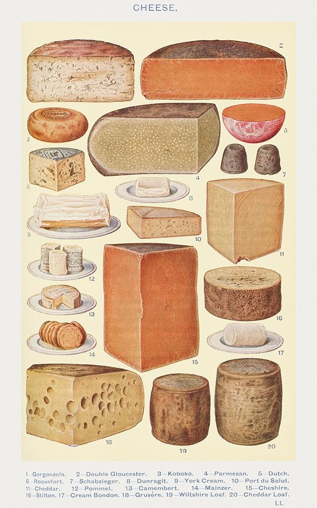 Cheeses art print by Mrs. Beetons Book of Household Management for $57.95 CAD