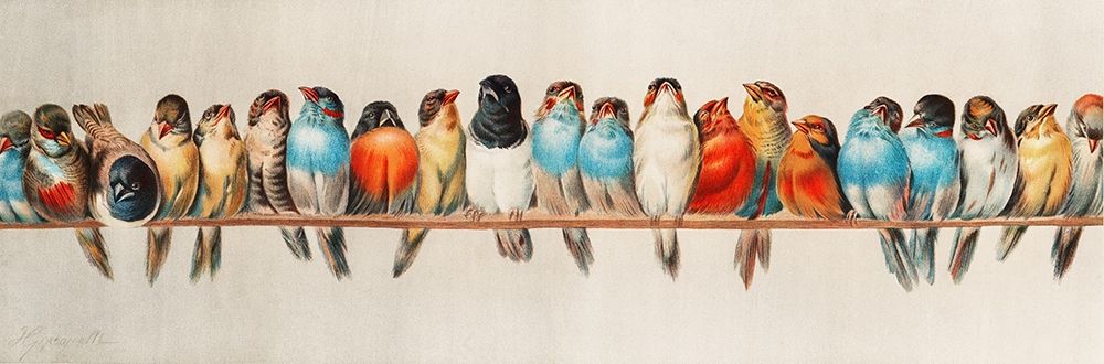 A Perch of Birds art print by Vintage Illustration for $57.95 CAD