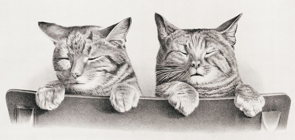 Cats art print by Thomas Hunter for $57.95 CAD