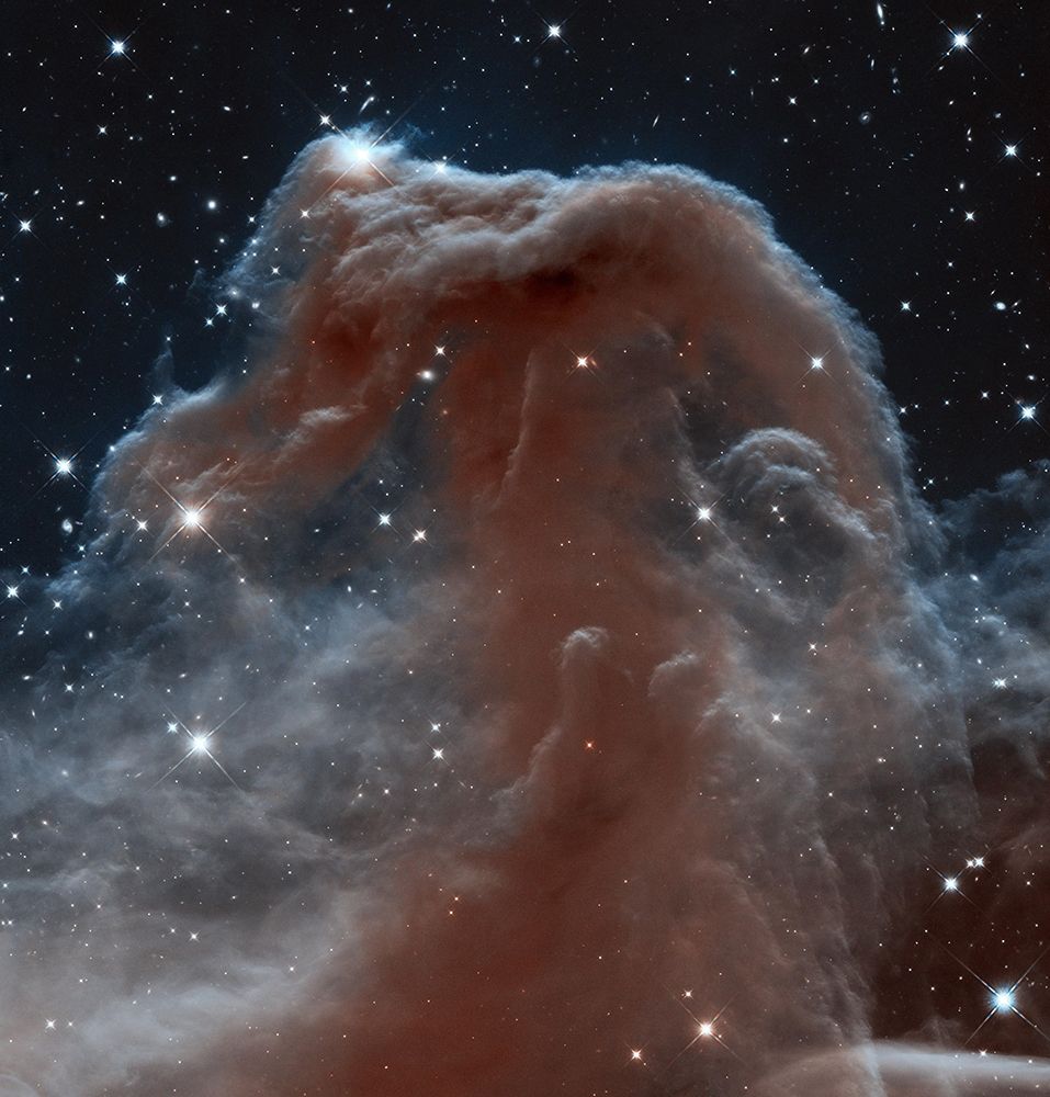Horsehead of a Different Color art print by NASA for $57.95 CAD
