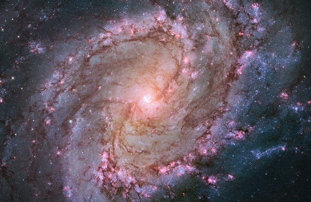 Spiral Galaxy M83, Hubble Space Telescope art print by NASA for $57.95 CAD