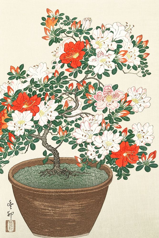 Blooming azalea in brown pot art print by Ohara Koson for $57.95 CAD
