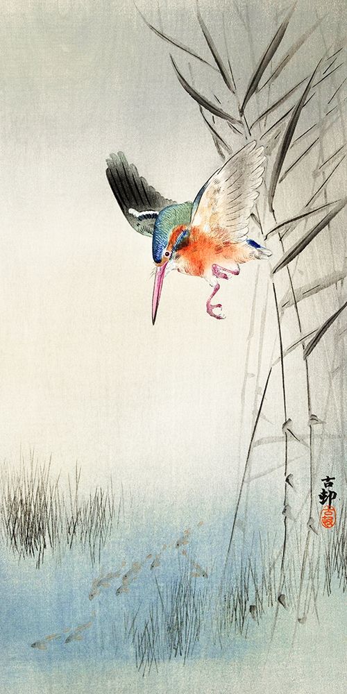 Kingfisher hunting for fish in the water art print by Ohara Koson for $57.95 CAD