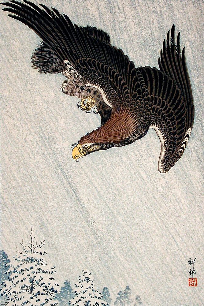 Eagle Flying in Snow art print by Ohara Koson for $57.95 CAD