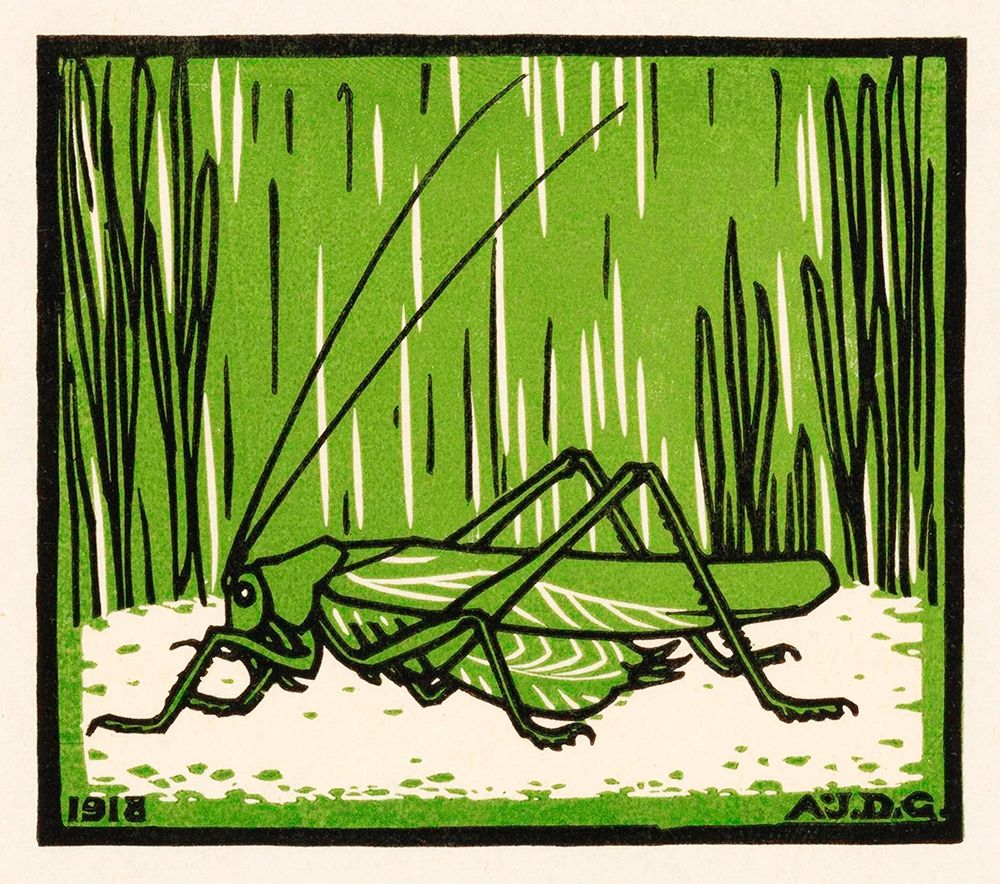 Grasshopper art print by Julie De Graag for $57.95 CAD