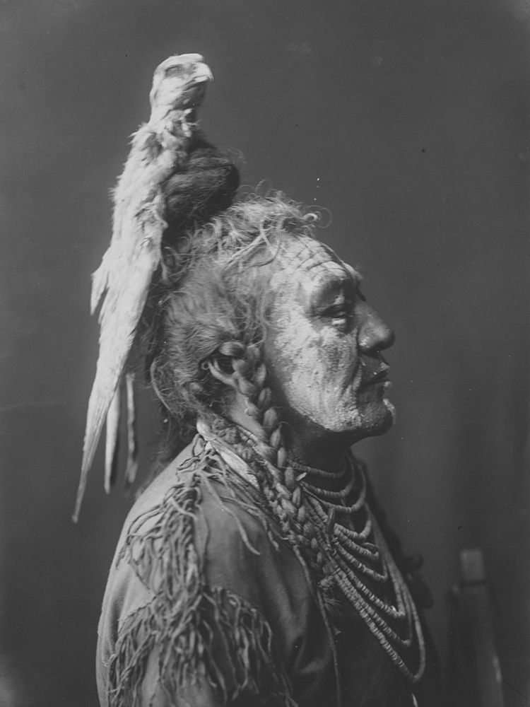 Two Whistles, Apsaroke art print by Edward Curtis for $57.95 CAD