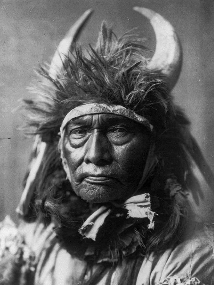 Bull Chief, Apsaroke art print by Edward Curtis for $57.95 CAD