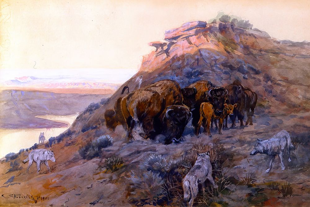 Buffalo Herd at Bay art print by Charles Marion Russell for $57.95 CAD