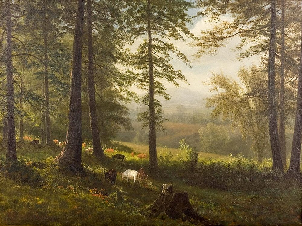 View to a Clearing art print by Albert Bierstadt for $57.95 CAD