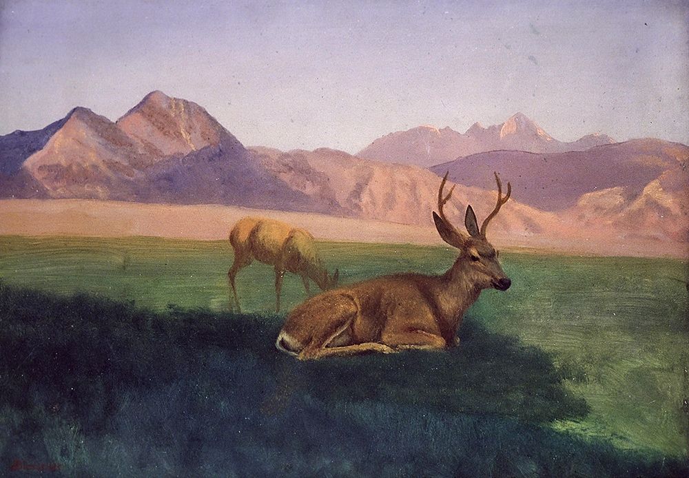 Deer art print by Albert Bierstadt for $57.95 CAD