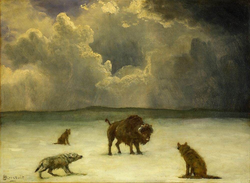 Trapped art print by Albert Bierstadt for $57.95 CAD